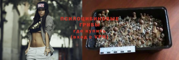 гидропоника Алзамай