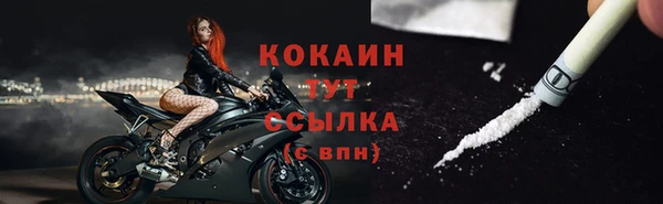 тгк Алексин