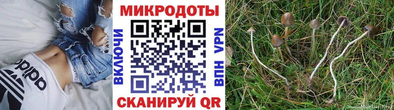 Псилоцибиновые грибы мухоморы  OMG сайт  Анжеро-Судженск 